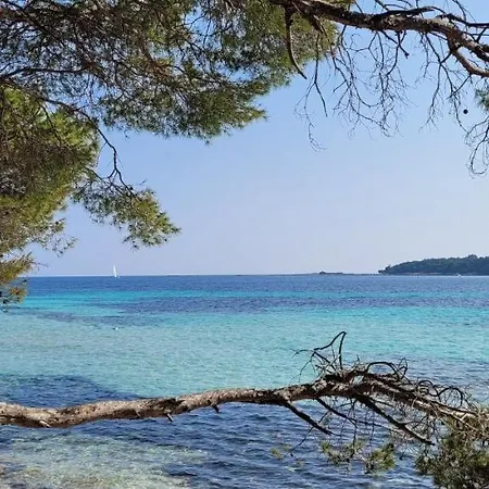 Les Grenadines Du Samedi Au Samedi Apartment *