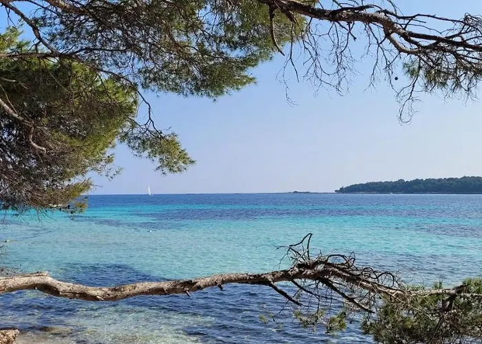 Les Grenadines Du Samedi Au Samedi 公寓 *